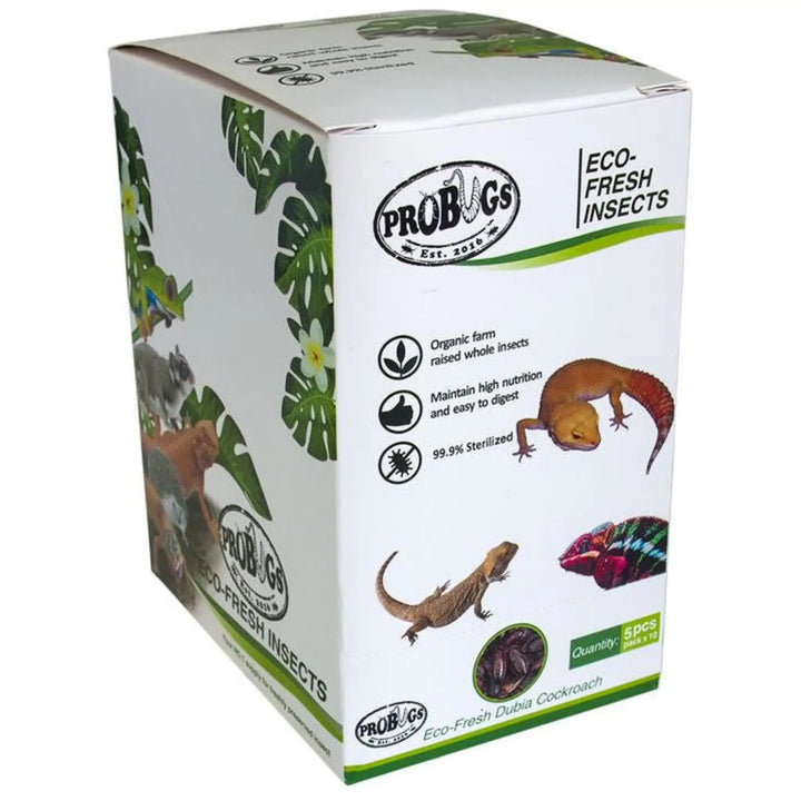 Buy ProBugs Eco Fresh Dubia Cockroachs 5pcs (FBG020) Online at £23.69 from Reptile Centre