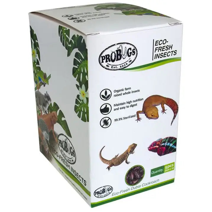 Buy ProBugs Eco Fresh Dubia Cockroachs 5pcs online