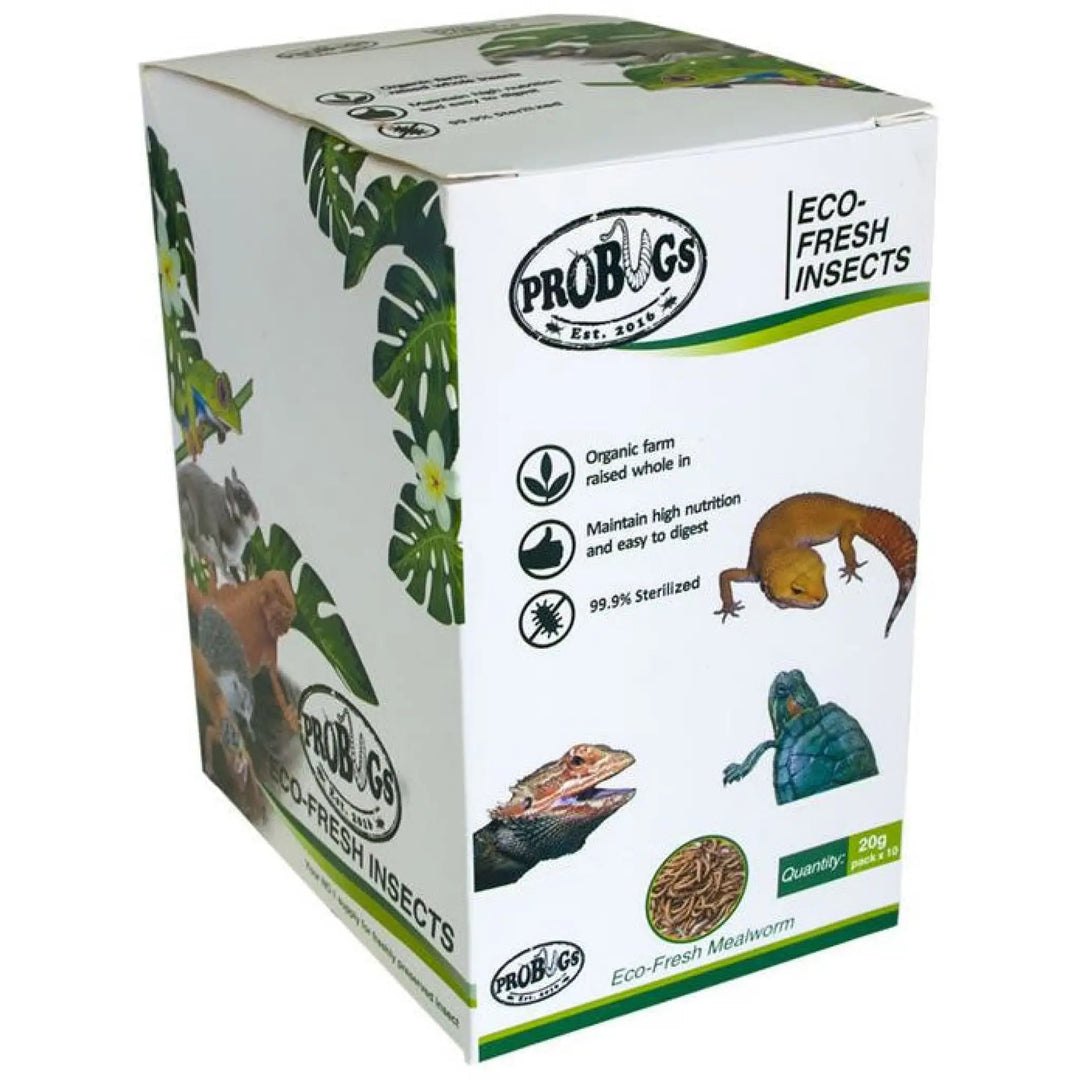Buy ProBugs Eco Fresh Mealworms 20g (FBG005) Online at £18.99 from Reptile Centre