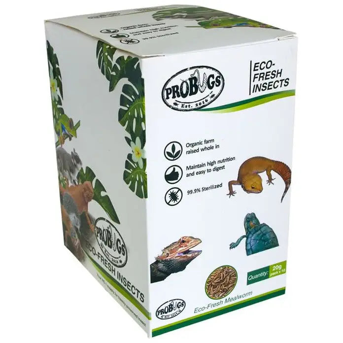 Buy ProBugs Eco Fresh Mealworms 20g online