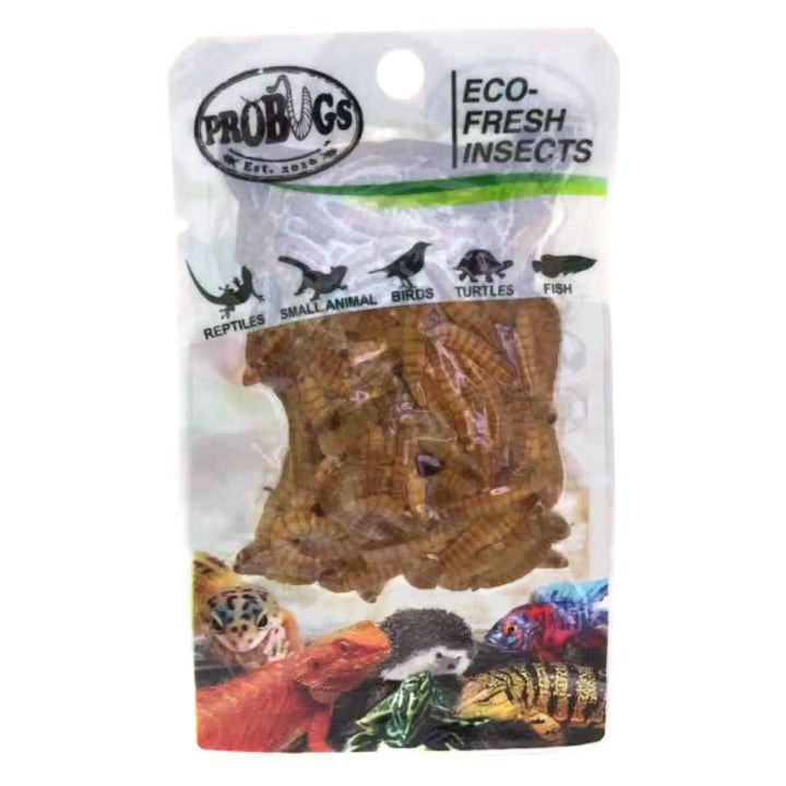 Buy ProBugs Eco Fresh Mealworms 20g (Q-FBG005) Online at £1.89 from Reptile Centre