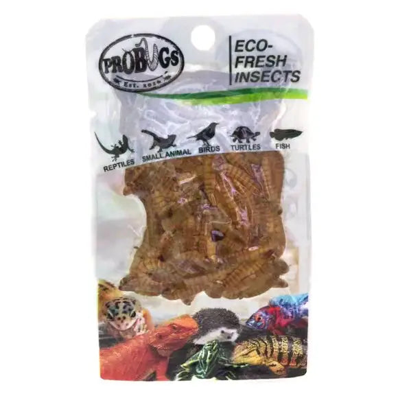Buy ProBugs Eco Fresh Mealworms 20g (Q-FBG005) Online at £1.89 from Reptile Centre