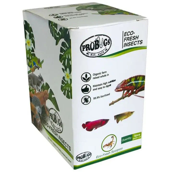 Buy ProBugs Eco Fresh Scorpions 3pcs online