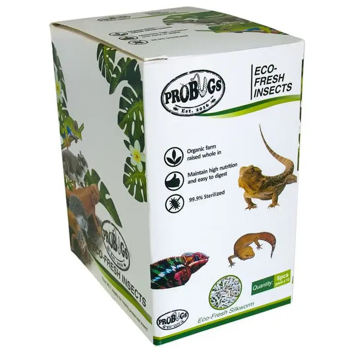 Buy ProBugs Eco Fresh Silkworm 5pcs online