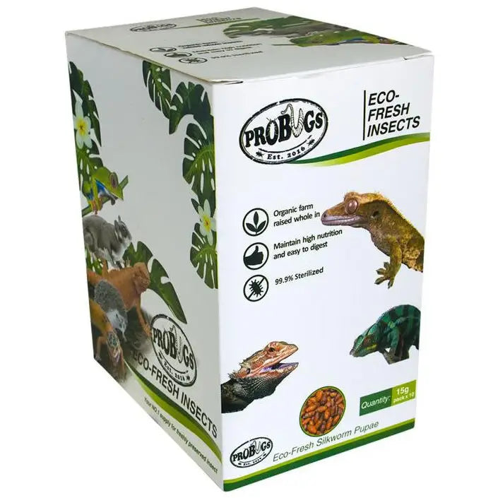 Buy ProBugs Eco Fresh Silkworm pupae 15g (FBG030) Online at £23.69 from Reptile Centre
