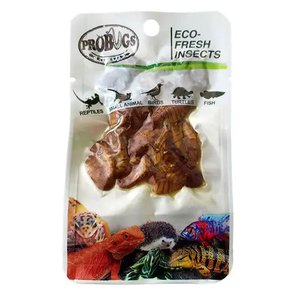 Buy ProBugs Eco Fresh Silkworm pupae 15g (Q-FBG030) Online at £2.37 from Reptile Centre