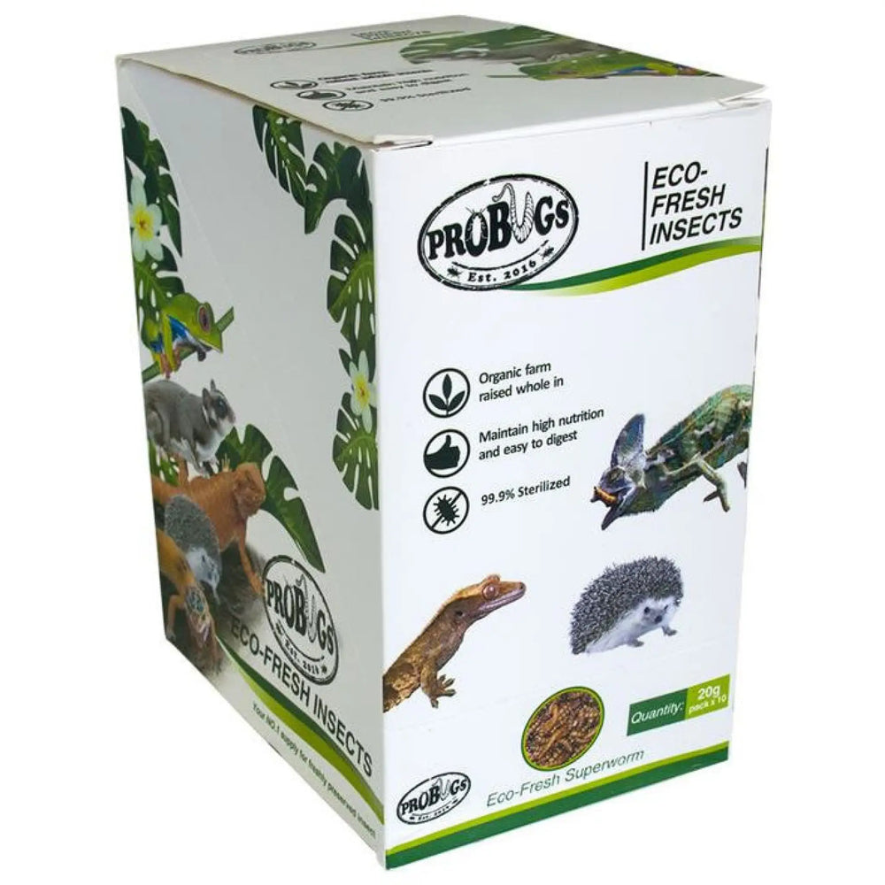 Buy ProBugs Eco Fresh Superworms 20g (FBG010) Online at £18.99 from Reptile Centre