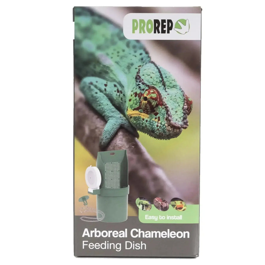 ProRep Arboreal Chameleon Feeding Dish