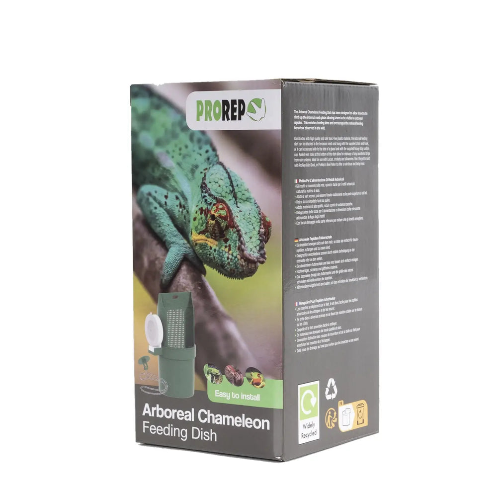 ProRep Arboreal Chameleon Feeding Dish
