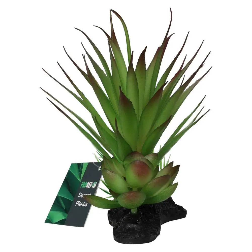 Buy ProRep Articial Agave Plant on Log online