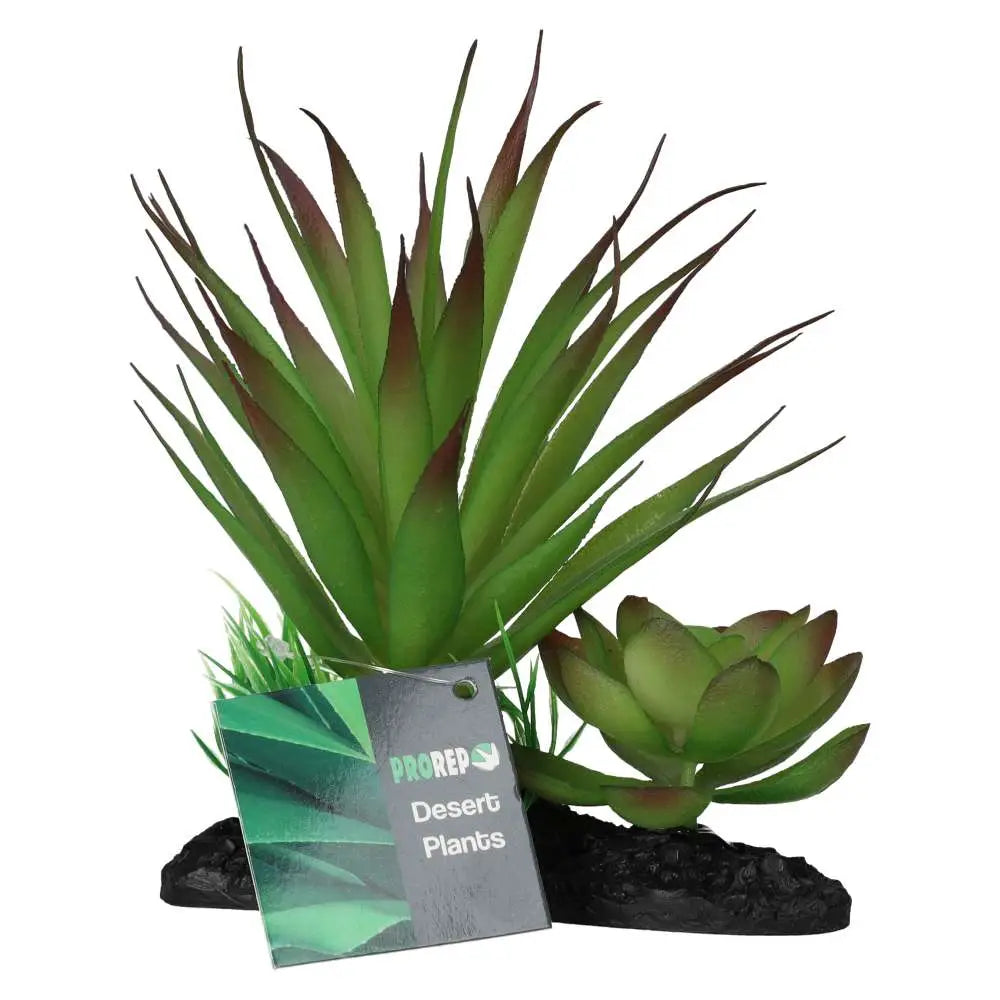 Buy ProRep Articial Agave Plant on Log online