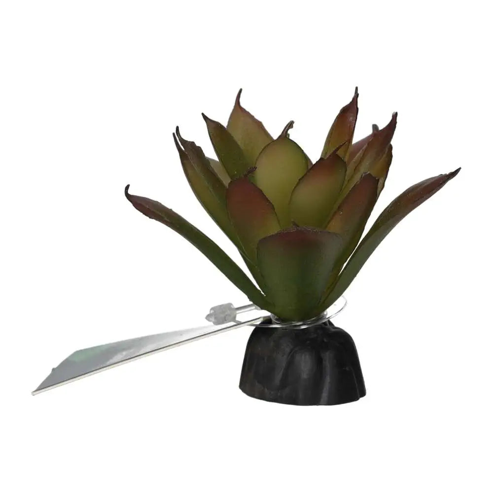 Buy ProRep Artificial Aeonium Plant online