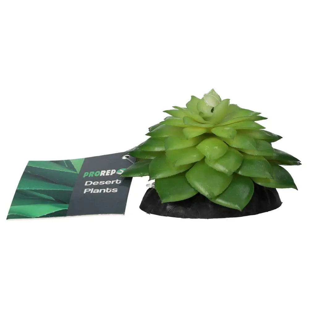 Buy ProRep Artificial E Salsaverde Plant online