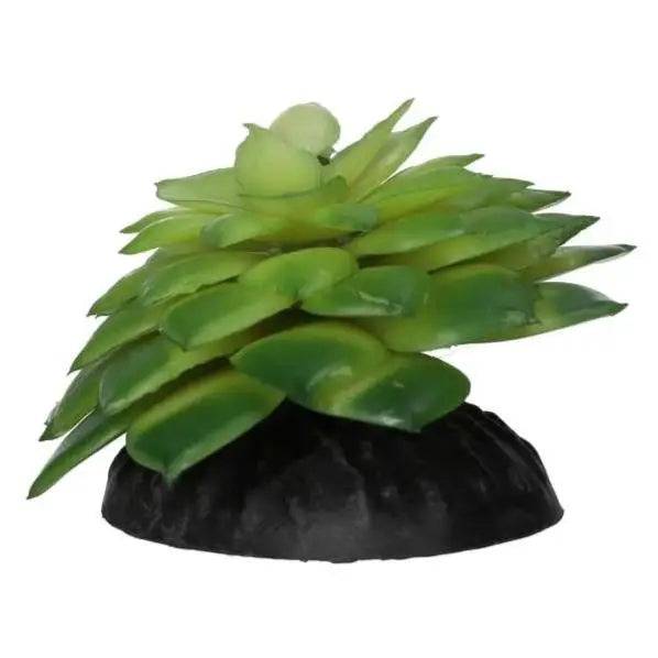 Buy ProRep Artificial E Salsaverde Plant online