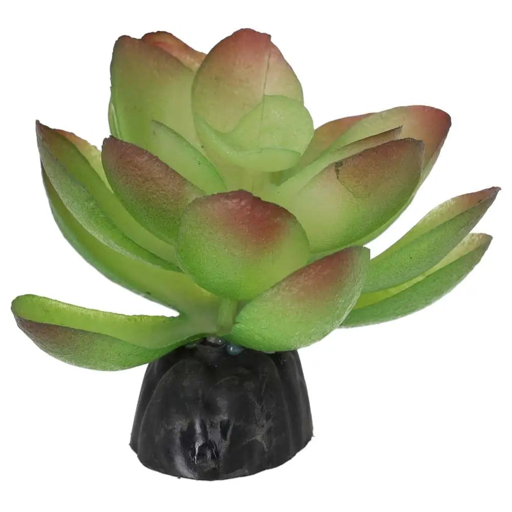Buy ProRep Artificial Echiveria Plant online