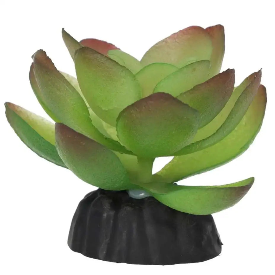 Buy ProRep Artificial Echiveria Plant online