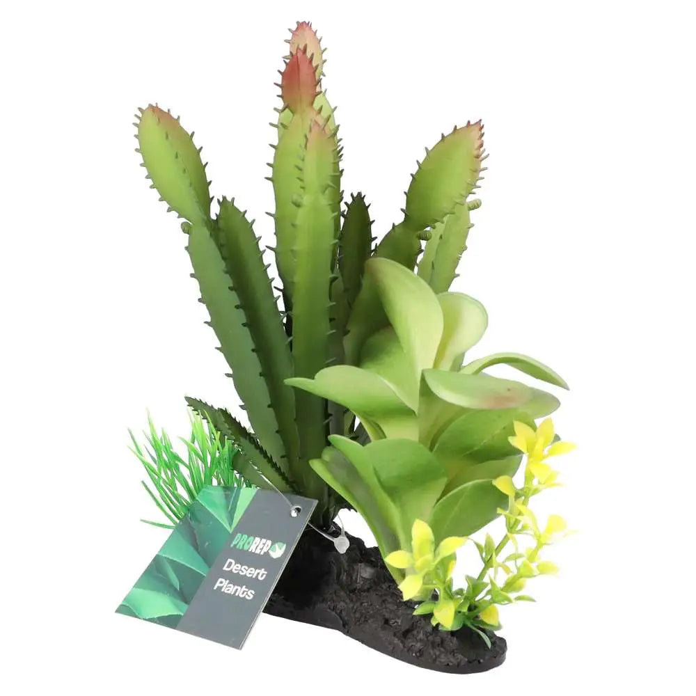 Buy ProRep Artificial Euphorbia Plant on Log online