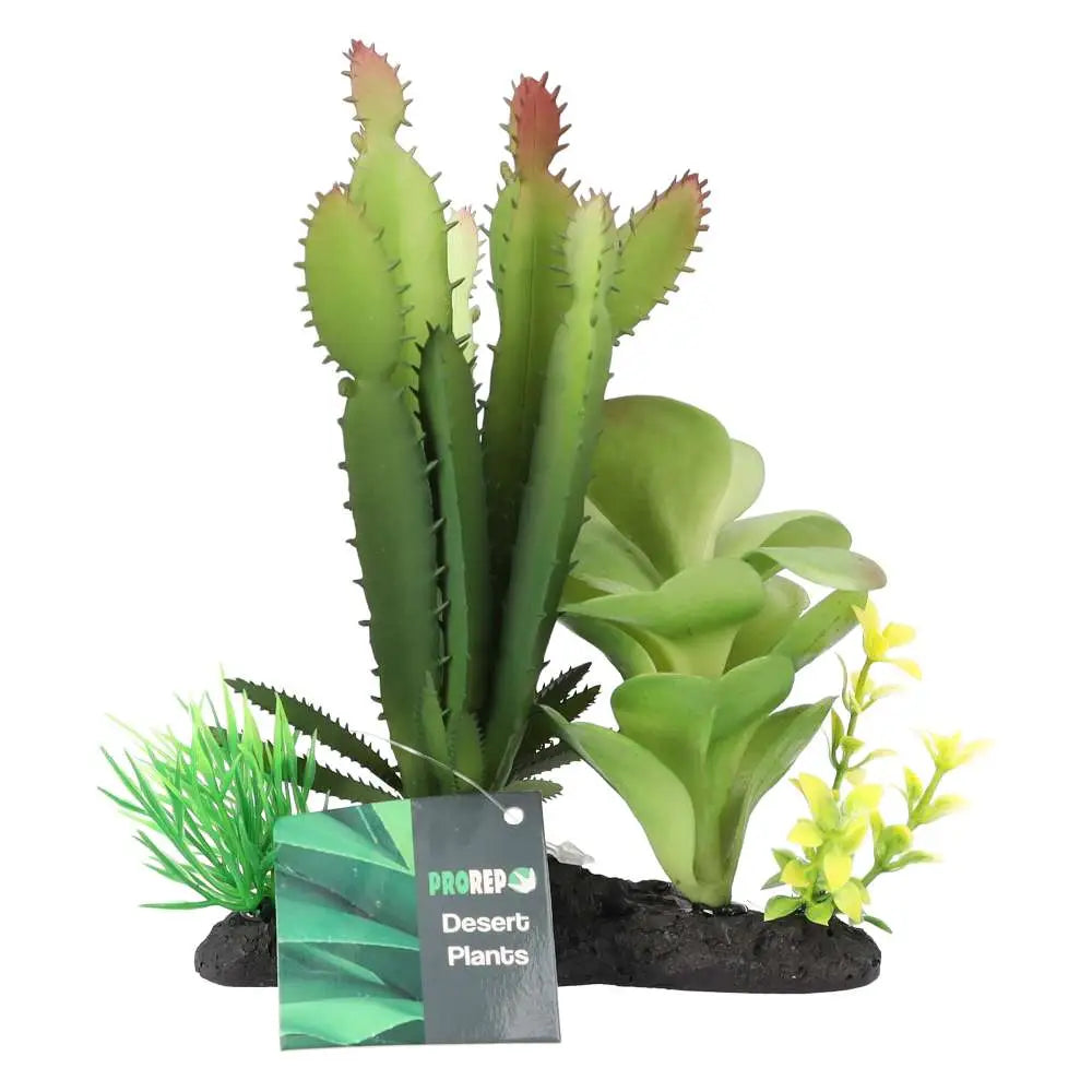 Buy ProRep Artificial Euphorbia Plant on Log online