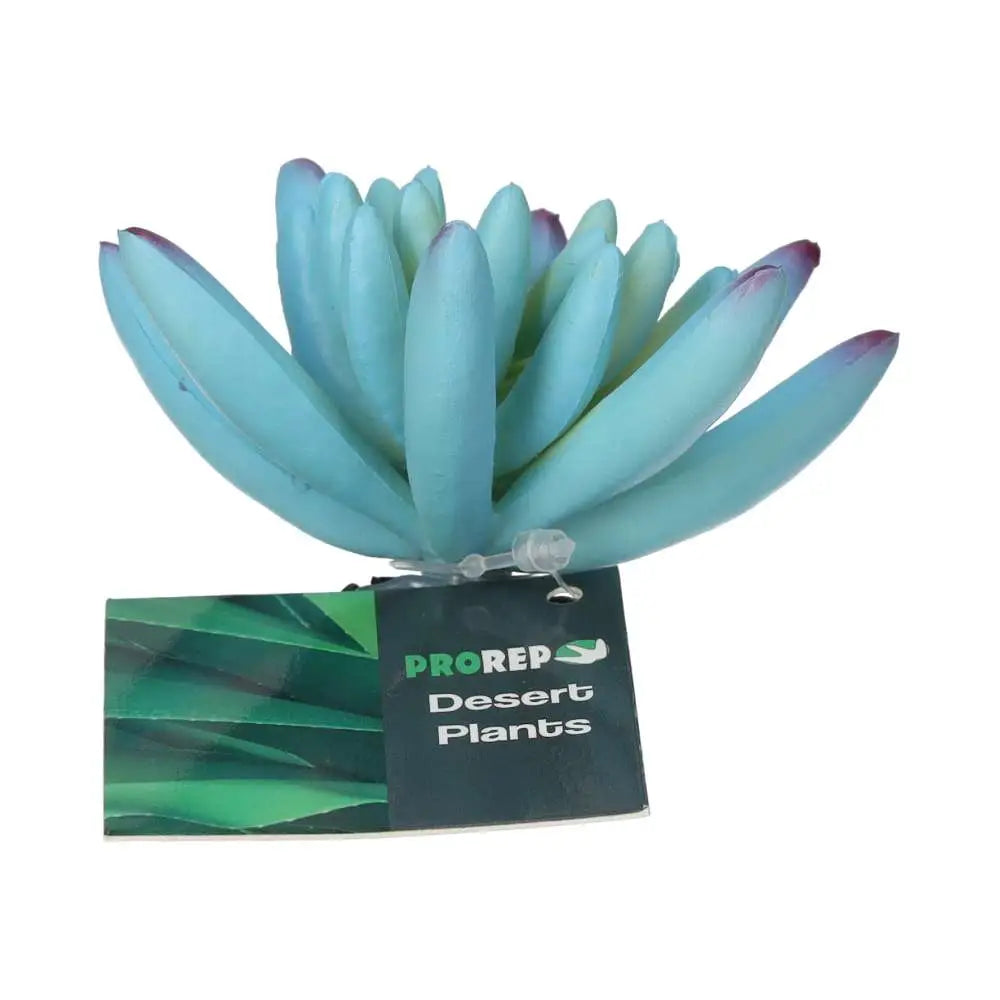 Buy ProRep Artificial Sedum Plant Blue online