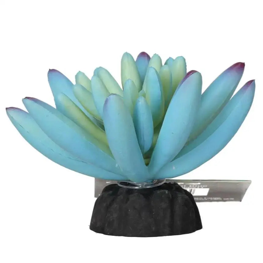 Buy ProRep Artificial Sedum Plant Blue online