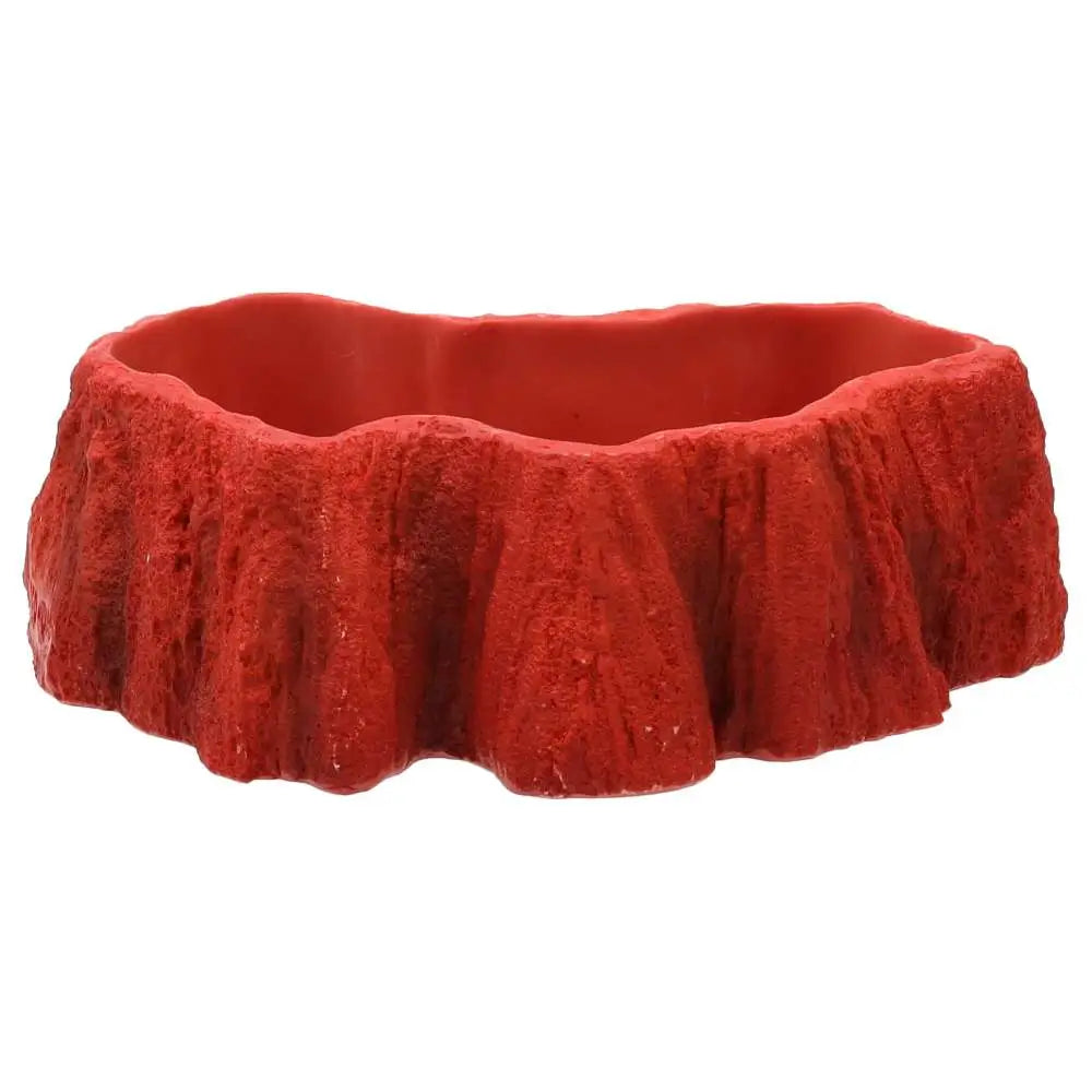 Buy ProRep Beardie Billabong Pool online