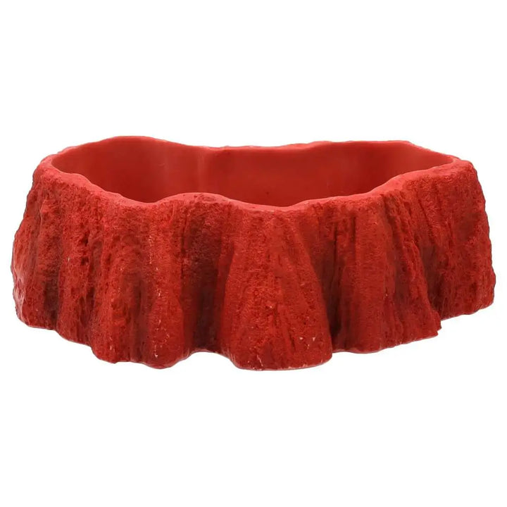 Buy ProRep Beardie Billabong Pool online