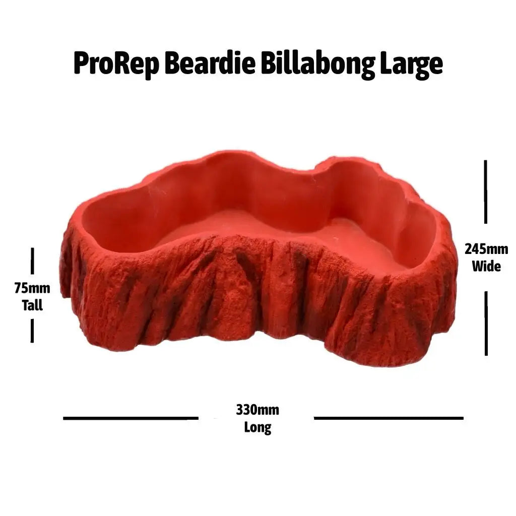 PR Beardie Billabong Pool Large - Measurements