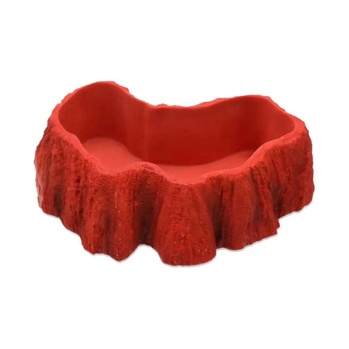 Buy ProRep Beardie Billabong Pool online