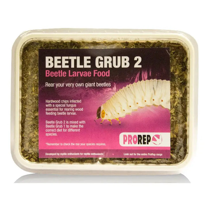 Buy ProRep Beetle Grub (FPB010) Online at £8.99 from Reptile Centre