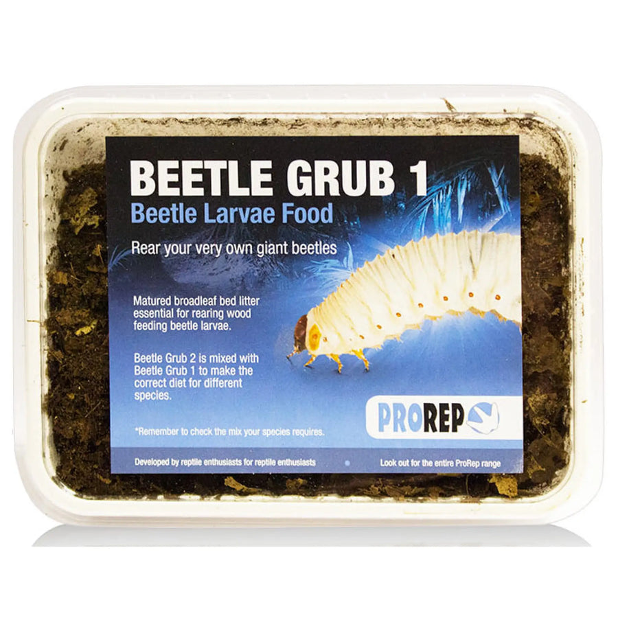 Buy ProRep Beetle Grub (FPB005) Online at £7.89 from Reptile Centre