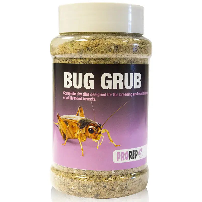 Buy ProRep Bug Grub (VPS007) Online at £2.99 from Reptile Centre