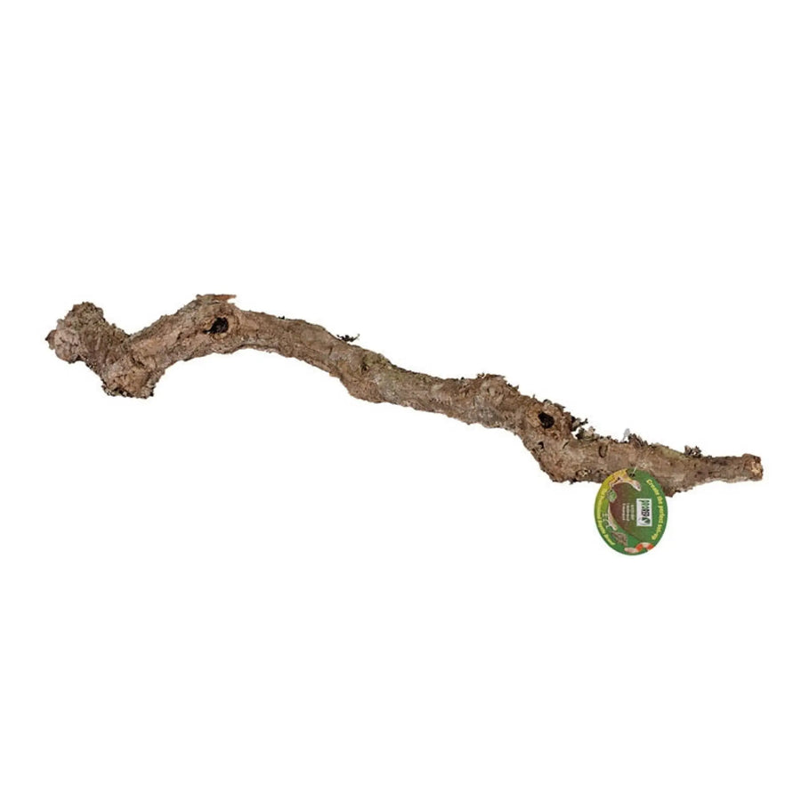Buy ProRep Cork Oak Branch (DPC341) Online at £7.79 from Reptile Centre