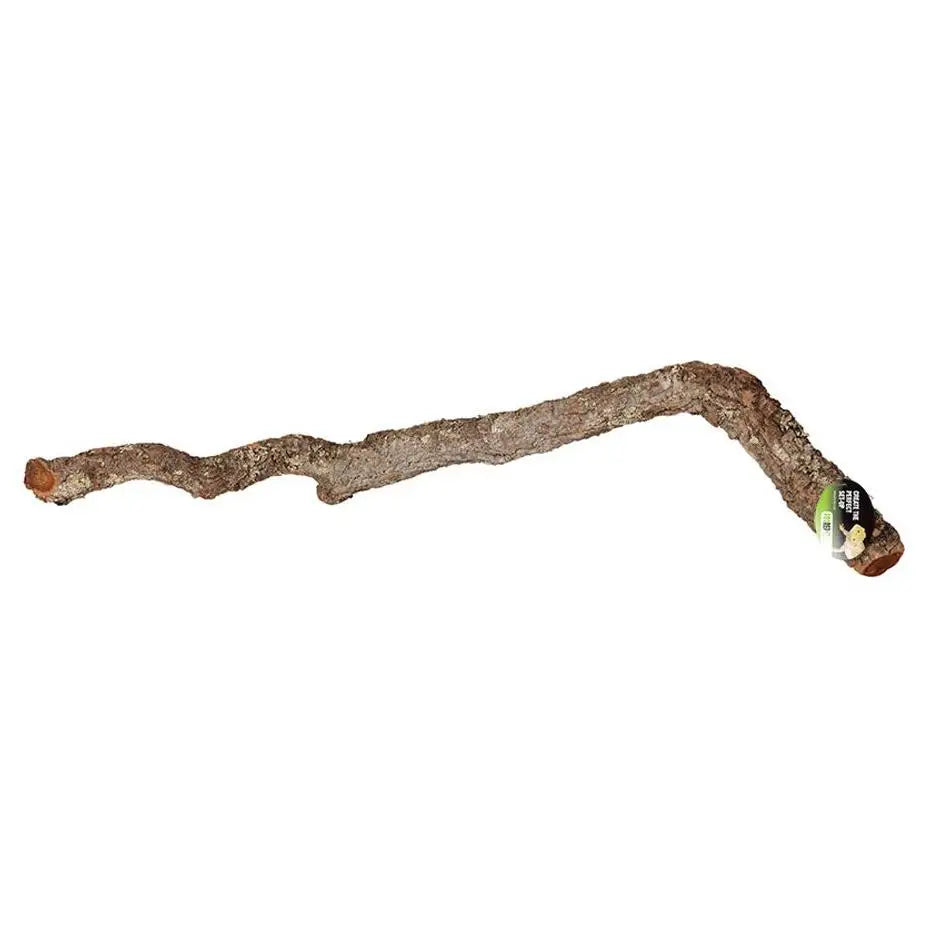 ProRep Cork Oak Branch