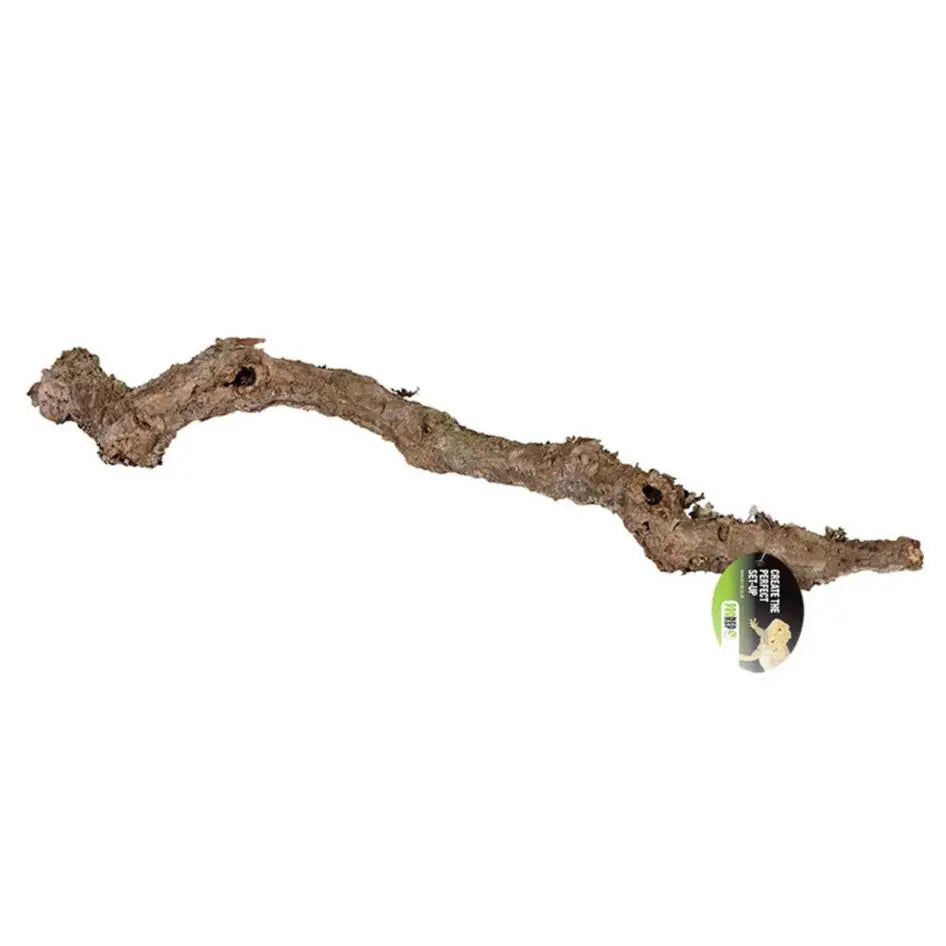 Buy ProRep Cork Oak Branch online