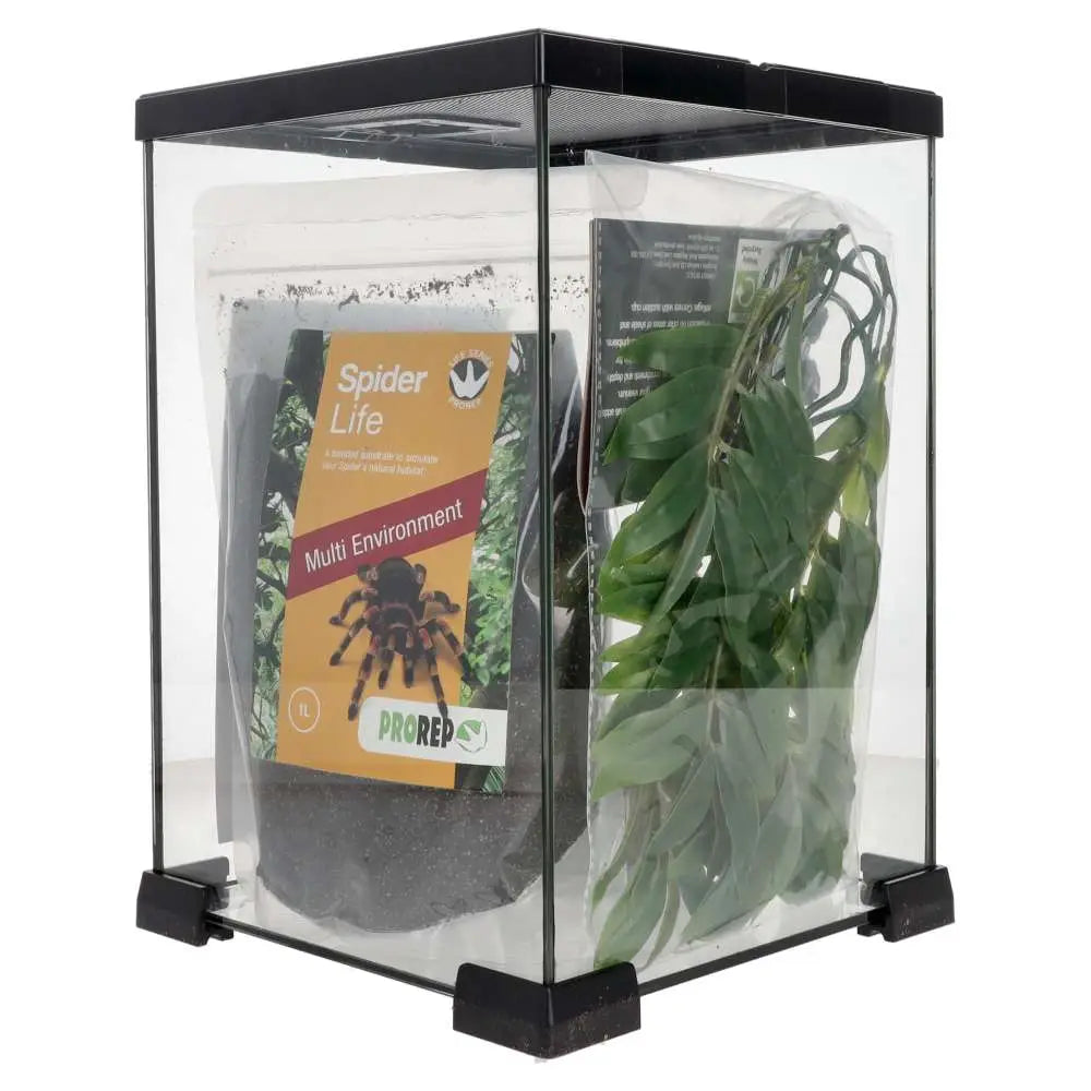 PR Creatures Invert Kit, Small
 plant