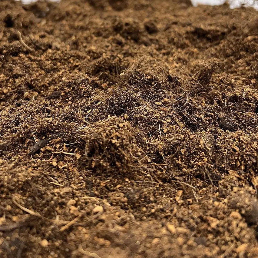 Prorep Crestie Life Substrate Substrates