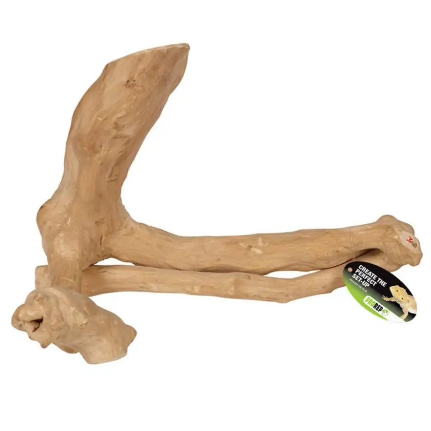 Buy ProRep Java Reptile Branch online