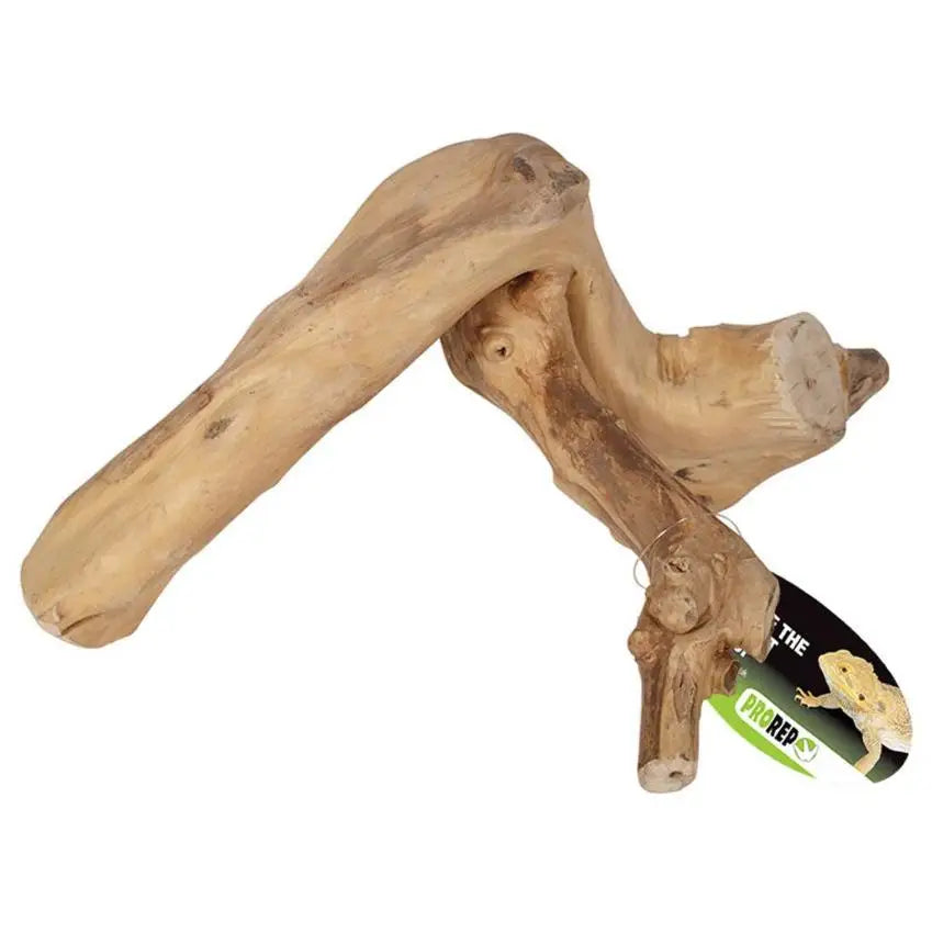 Buy ProRep Java Reptile Branch online