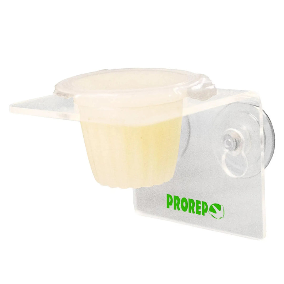 Buy ProRep Jelly Pot Holder Single (FPJ501) Online at £3.89 from Reptile Centre