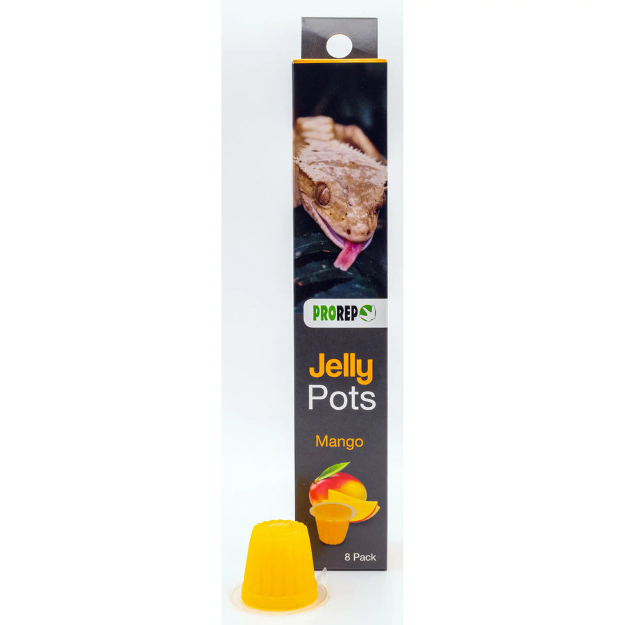 Buy ProRep Jelly Pots Mango (FPJ240) Online at £4.69 from Reptile Centre