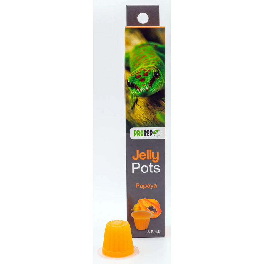 Buy ProRep Jelly Pots Papaya (FPJ275) Online at £4.69 from Reptile Centre