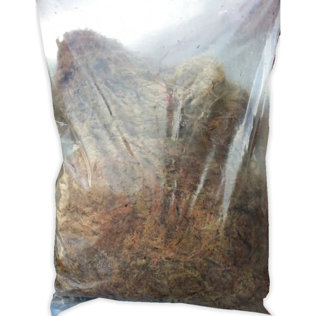 Buy ProRep Live Sphagnum Moss (SMM015) Online at £32.99 from Reptile Centre