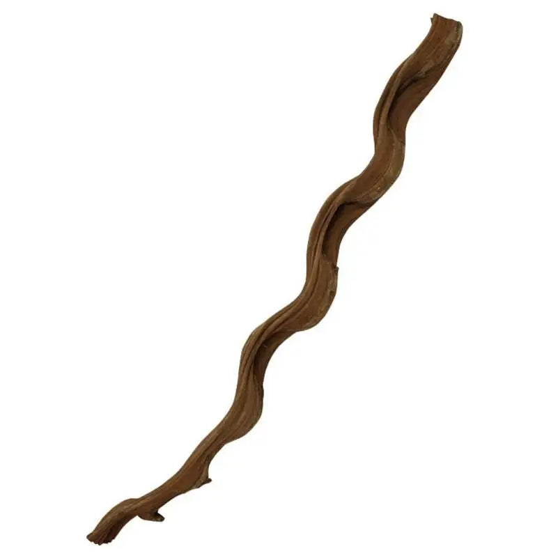 ProRep Snake Vine