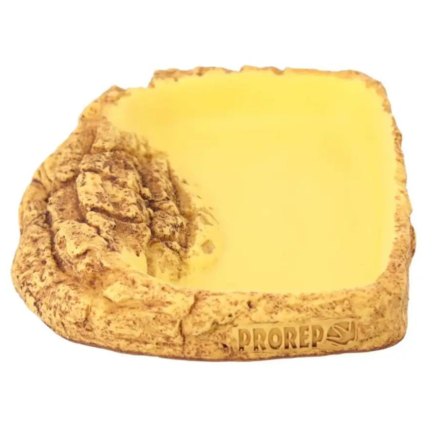 Buy ProRep New Tortoise Pool online