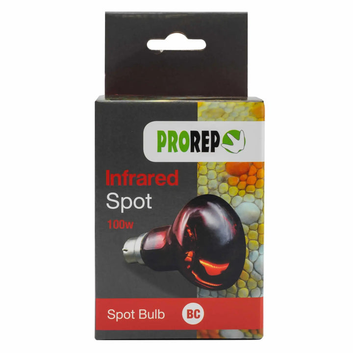 Buy ProRep Red Night Spot Bulb BC (Bayonet) (LMS232) Online at £5.49 from Reptile Centre