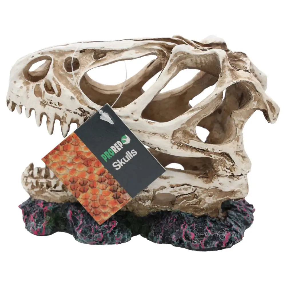 Buy ProRep Resin Allosaurus Skull online