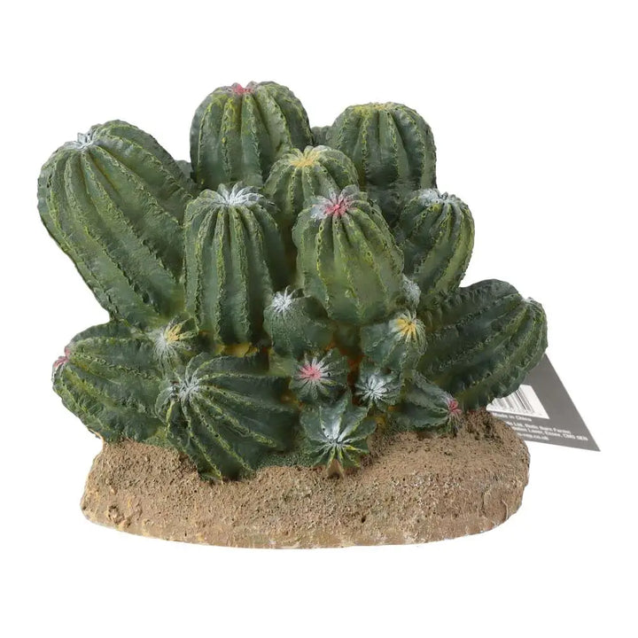 Prorep Resin Cactus Cluster Decor