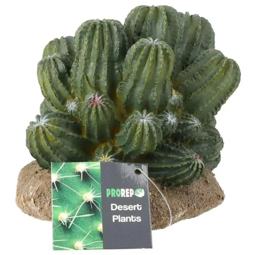 Buy ProRep Resin Cactus Cluster online
