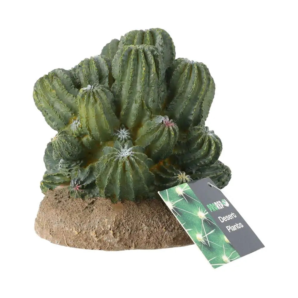 Prorep Resin Cactus Cluster Decor