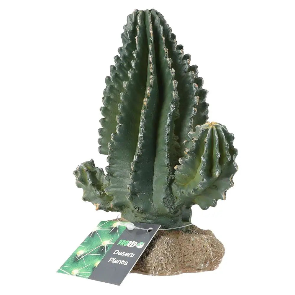 Buy ProRep Resin Cactus online